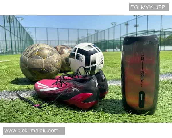 足球港狗带你领略球场激情与宠物陪伴的完美结合